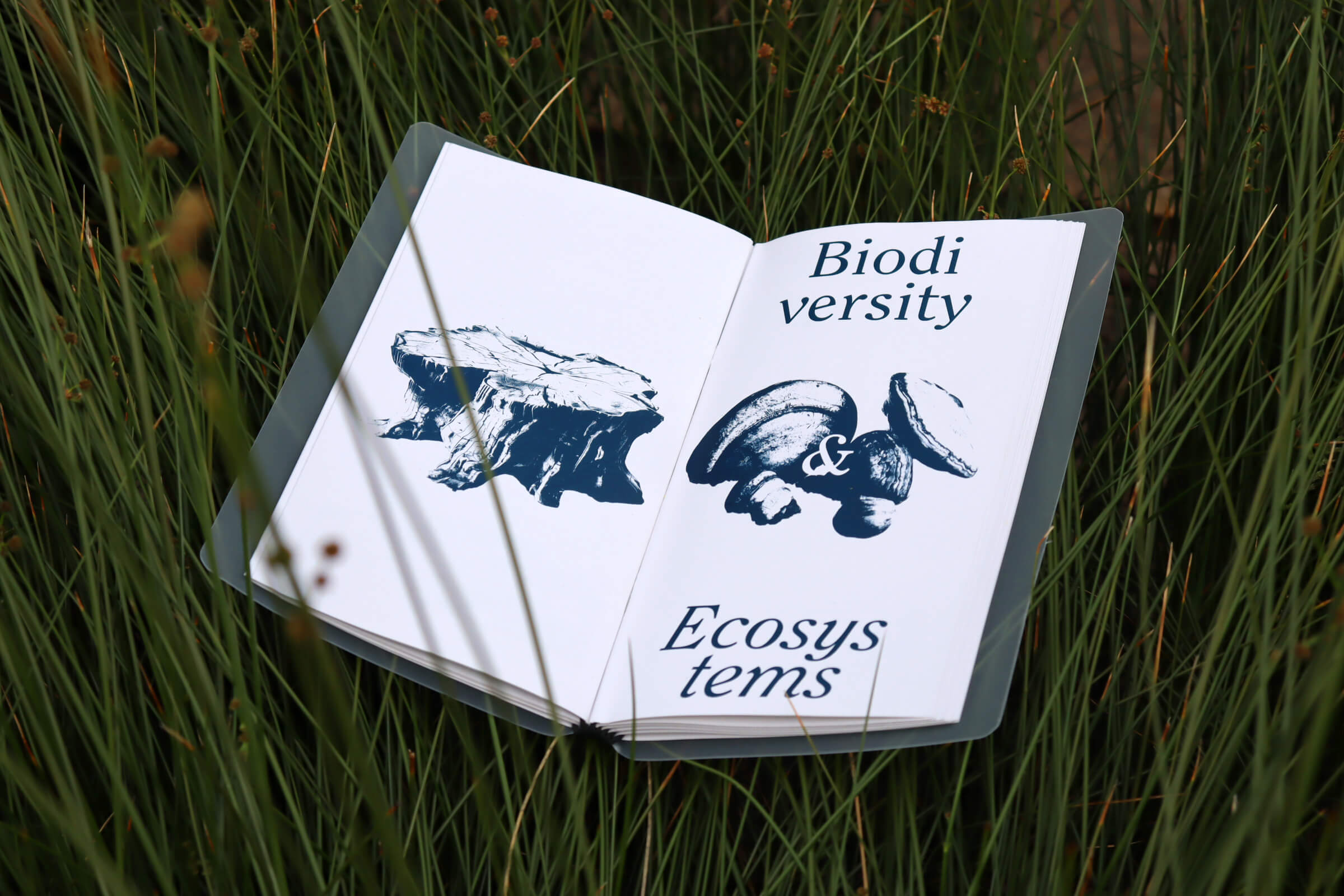 livro de pesquisa aberto